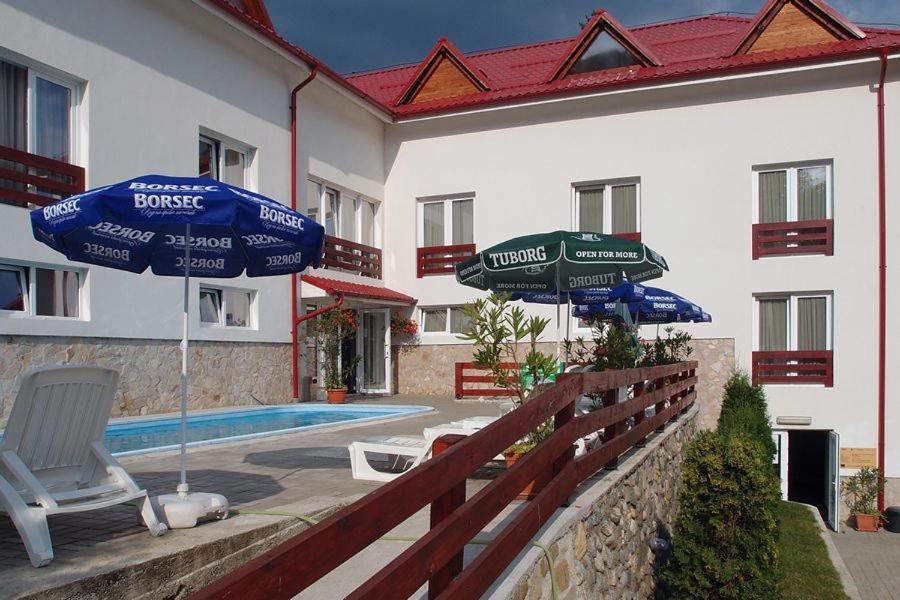 Hotel Domnitei Călimăneşti エクステリア 写真