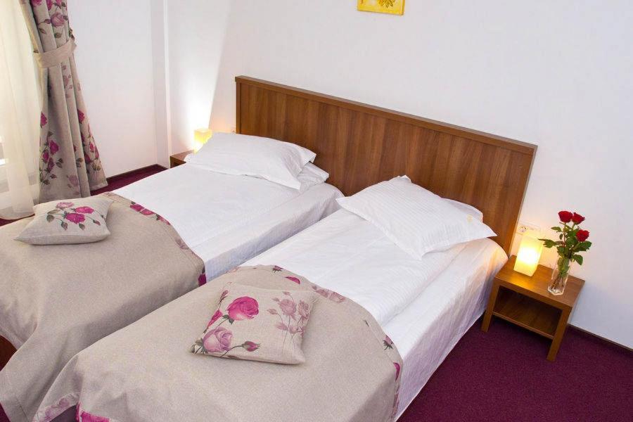 Hotel Domnitei Călimăneşti エクステリア 写真